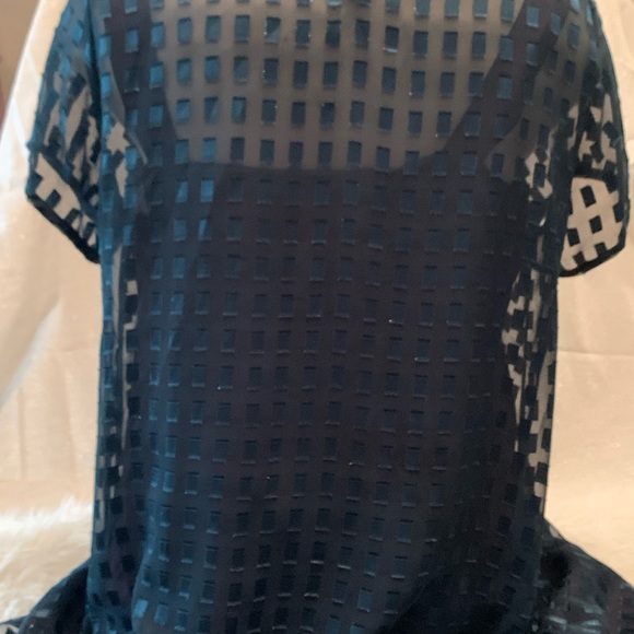 Gorgeous Emerald green sheer Dress over burnt black dress by Onyx - Picture 2 of 12